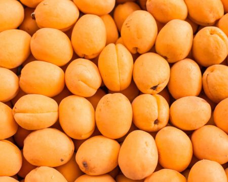 fresh-ripe-apricot-top-view-market fresh-ripe-apricot-top-view-market