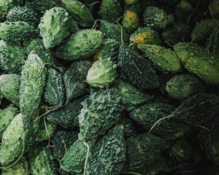 goh-rhy-yan-PyBocTfwLj0-unsplash goh-rhy-yan-PyBocTfwLj0-unsplash