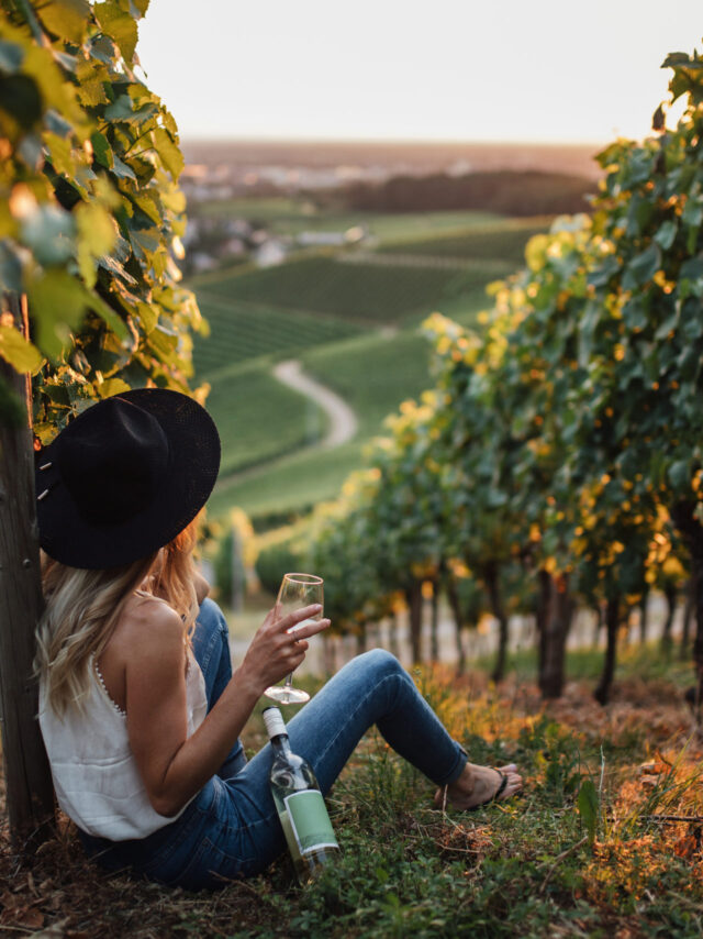 young-blonde-woman-relaxing-vineyards-summer-season-with-bottle-wine young-blonde-woman-relaxing-vineyards-summer-season-with-bottle-wine