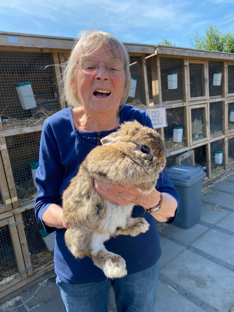 5be2b3ce-ed9f-4b2b-8b0e-860b2f67c868