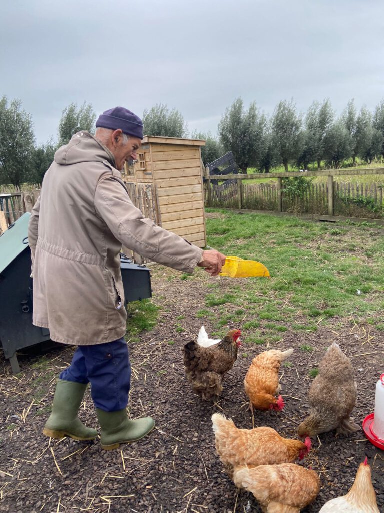 65a76fd5-7aa5-4857-82fe-0dbd75c4d7ba